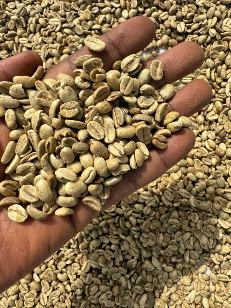 Green Coffee Beans (Unroasted)