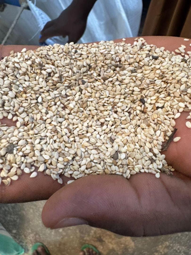 بذور السمسم الطبيعية